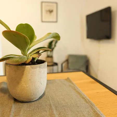 Homy I Gemuetliches Gohlis Netflix Und W-lan Apartment *