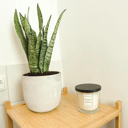 Lägenhet Homy I Gemuetliches Gohlis Netflix Und W-lan Leipzig