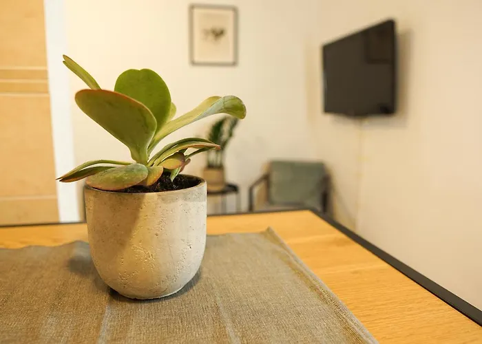 Homy I Gemuetliches Gohlis Netflix Und W-lan Daire *