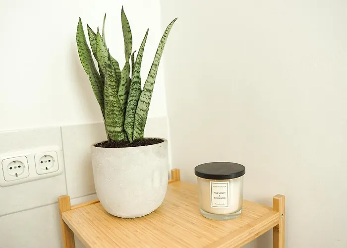 Daire Homy I Gemuetliches Gohlis Netflix Und W-lan Leipzig