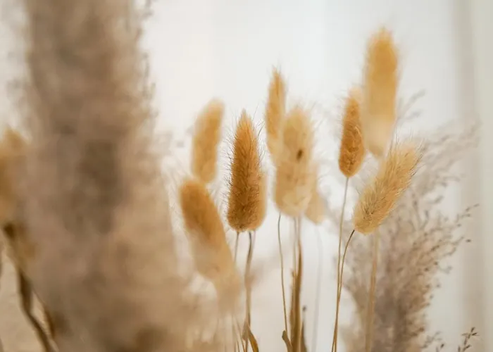 Homy I Gemuetliches Gohlis Netflix Und W-lan Daire